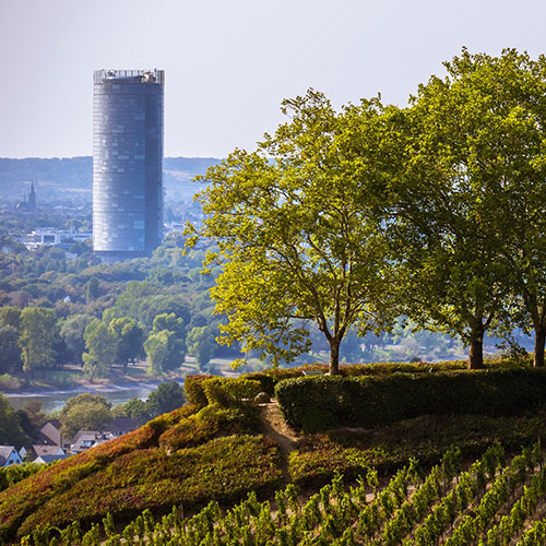 Bonn
